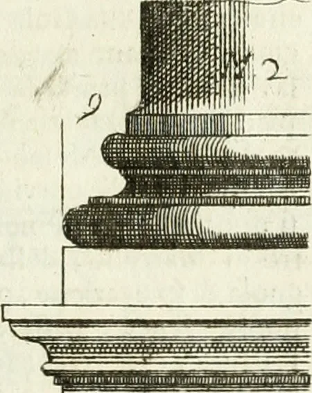 An illustration from Li cinque ordini dell' architettura civile di Michel Sanmicheli : rilevati dalle sue fabriche, e descritti e publicati con quelli di Vitruvio, Alberti, Palladio, Scamozzi, Serlio, e Vignola, 1735, leaf 74