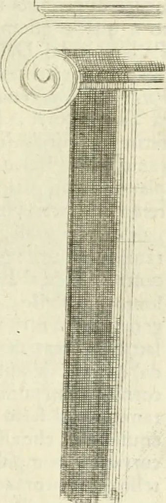 An illustration from Li cinque ordini dell' architettura civile di Michel Sanmicheli : rilevati dalle sue fabriche, e descritti e publicati con quelli di Vitruvio, Alberti, Palladio, Scamozzi, Serlio, e Vignola, 1735, leaf 84