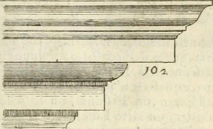 An illustration from Li cinque ordini dell' architettura civile di Michel Sanmicheli : rilevati dalle sue fabriche, e descritti e publicati con quelli di Vitruvio, Alberti, Palladio, Scamozzi, Serlio, e Vignola, 1735, leaf 84
