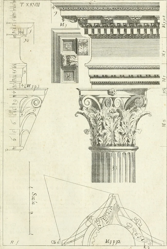 An illustration from Li cinque ordini dell' architettura civile di Michel Sanmicheli : rilevati dalle sue fabriche, e descritti e publicati con quelli di Vitruvio, Alberti, Palladio, Scamozzi, Serlio, e Vignola, 1735, leaf 96