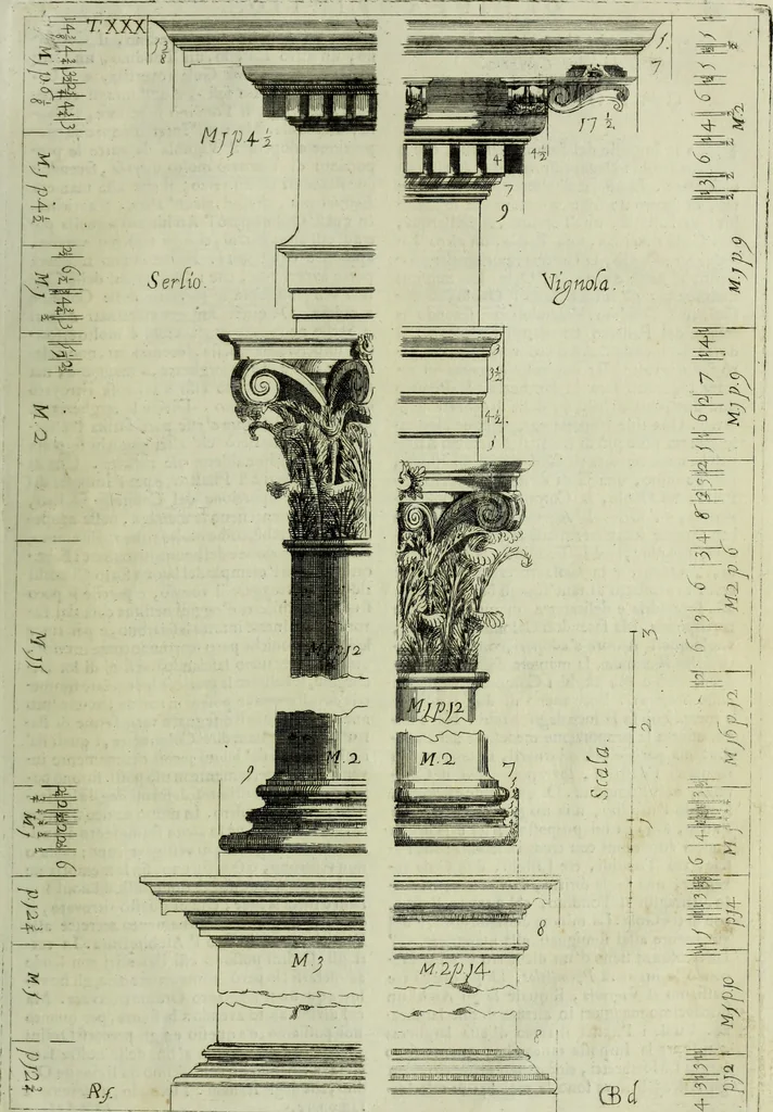 An illustration from Li cinque ordini dell'architettura civile di Michel Sanmicheli, rilevati dalle sue Fabriche, e descritti e publicati con quelli di Vitruvio, Alberti, Palladio, Scamozzi, Serlio e Vignola, 1735, leaf 102