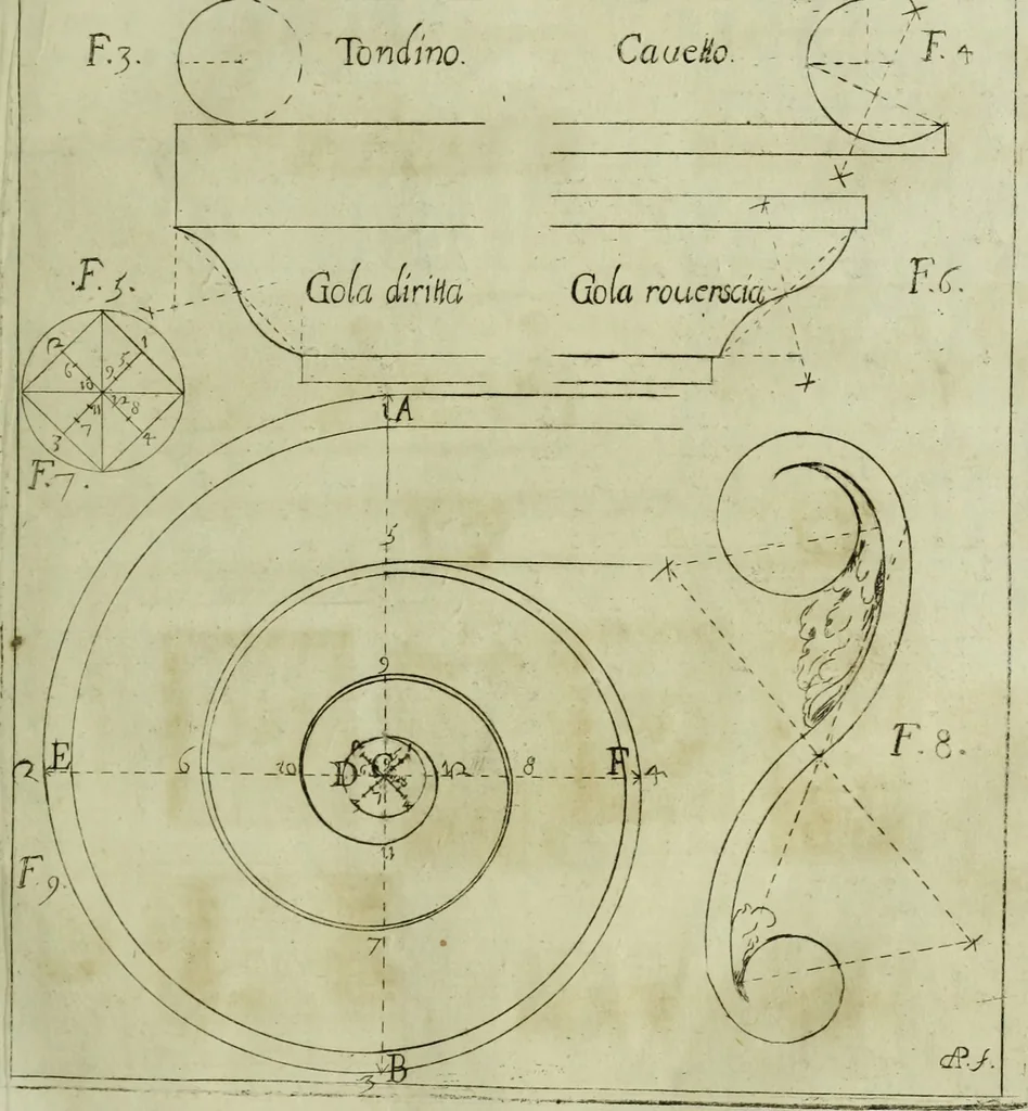 An illustration from Li cinque ordini dell'architettura civile di Michel Sanmicheli, rilevati dalle sue Fabriche, e descritti e publicati con quelli di Vitruvio, Alberti, Palladio, Scamozzi, Serlio e Vignola, 1735, leaf 20