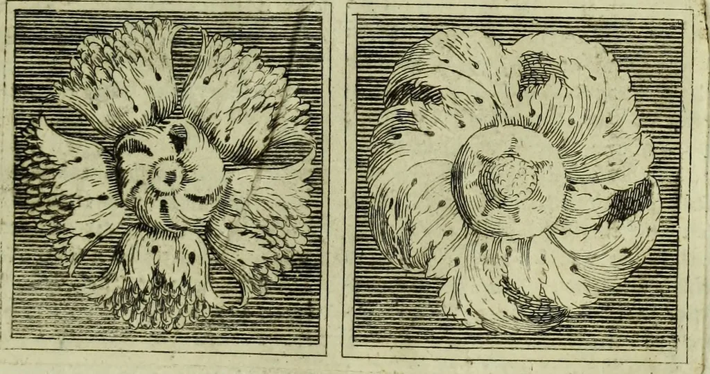 An illustration from Li cinque ordini dell'architettura civile di Michel Sanmicheli, rilevati dalle sue Fabriche, e descritti e publicati con quelli di Vitruvio, Alberti, Palladio, Scamozzi, Serlio e Vignola, 1735, leaf 36