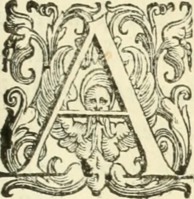 An illustration from L'idea della architettura vniversale, 1615, leaf 114