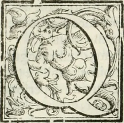 An illustration from L'idea della architettura vniversale, 1615, leaf 133