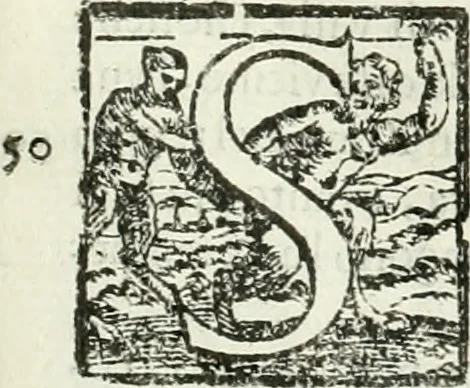 An illustration from L'idea della architettura vniversale, 1615, leaf 140