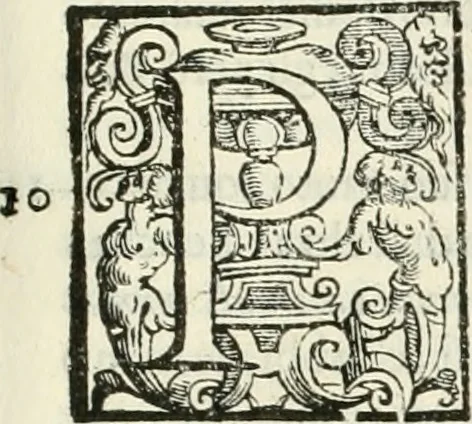 An illustration from L'idea della architettura vniversale, 1615, leaf 150