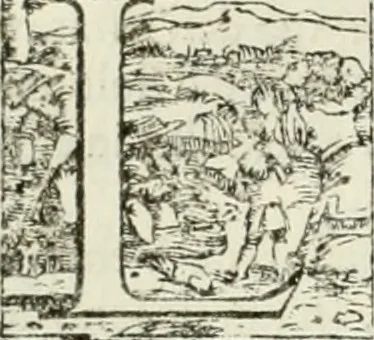 An illustration from L'idea della architettura vniversale, 1615, leaf 155