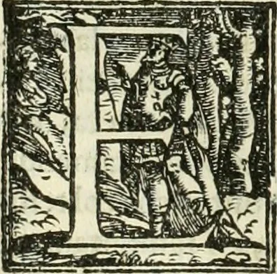 An illustration from L'idea della architettura vniversale, 1615, leaf 164