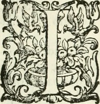 An illustration from L'idea della architettura vniversale, 1615, leaf 208