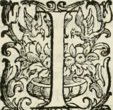 An illustration from L'idea della architettura vniversale, 1615, leaf 213