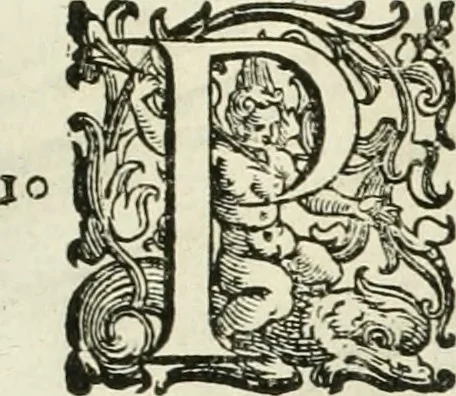 An illustration from L'idea della architettura vniversale, 1615, leaf 222