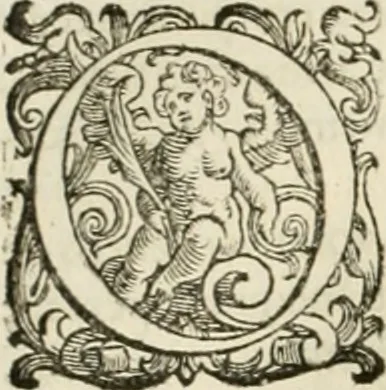 An illustration from L'idea della architettura vniversale, 1615, leaf 239