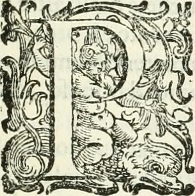 An illustration from L'idea della architettura vniversale, 1615, leaf 24