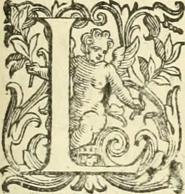 An illustration from L'idea della architettura vniversale, 1615, leaf 248