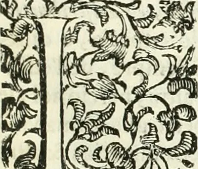 An illustration from L'idea della architettura vniversale, 1615, leaf 26
