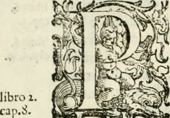 An illustration from L'idea della architettura vniversale, 1615, leaf 263