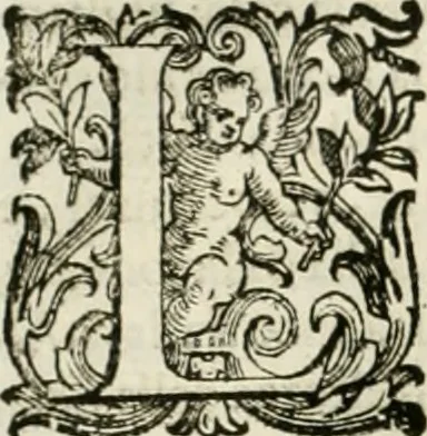 An illustration from L'idea della architettura vniversale, 1615, leaf 275