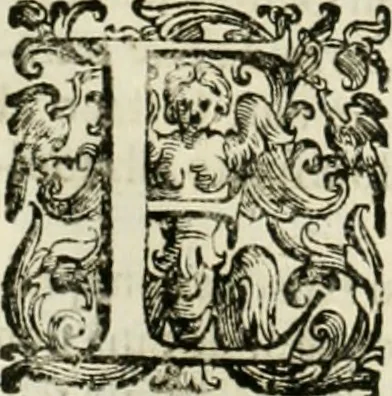 An illustration from L'idea della architettura vniversale, 1615, leaf 287