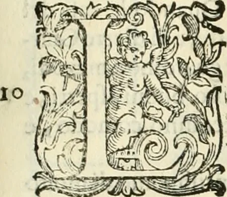 An illustration from L'idea della architettura vniversale, 1615, leaf 302