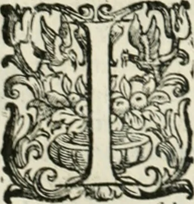 An illustration from L'idea della architettura vniversale, 1615, leaf 317