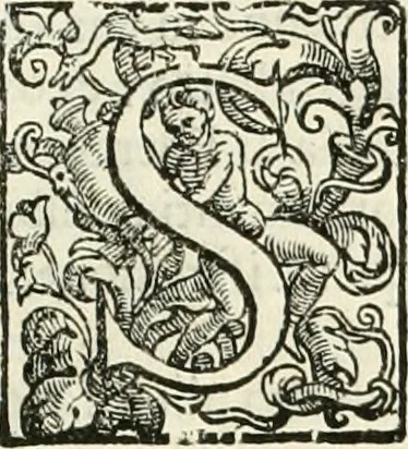An illustration from L'idea della architettura vniversale, 1615, leaf 32