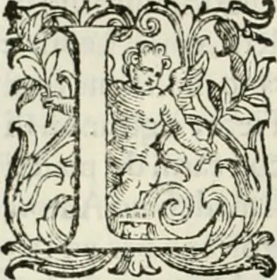 An illustration from L'idea della architettura vniversale, 1615, leaf 333