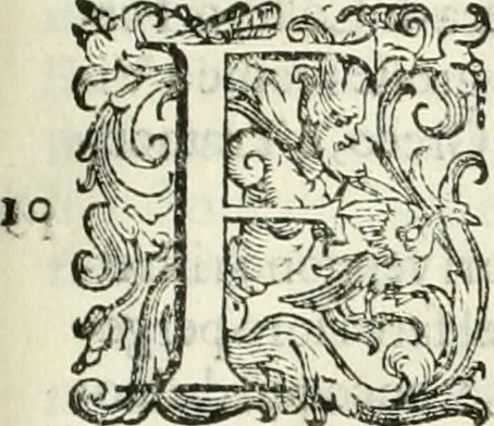 An illustration from L'idea della architettura vniversale, 1615, leaf 356