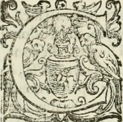 An illustration from L'idea della architettura vniversale, 1615, leaf 359