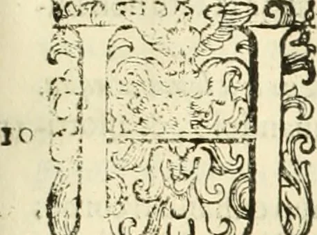 An illustration from L'idea della architettura vniversale, 1615, leaf 362