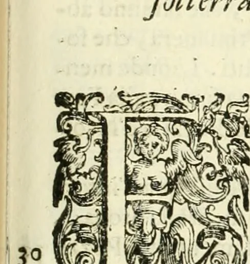 An illustration from L'idea della architettura vniversale, 1615, leaf 366