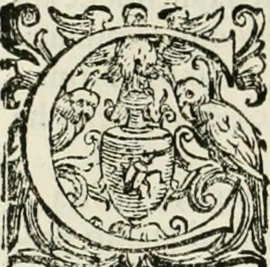 An illustration from L'idea della architettura vniversale, 1615, leaf 369