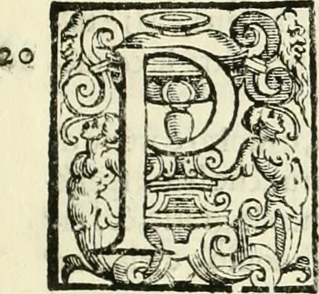 An illustration from L'idea della architettura vniversale, 1615, leaf 40