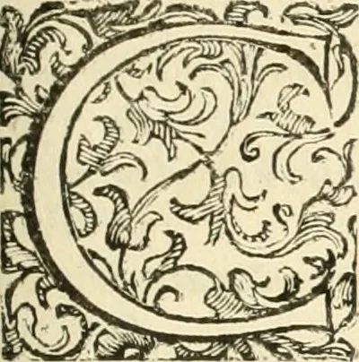 An illustration from L'idea della architettura vniversale, 1615, leaf 422