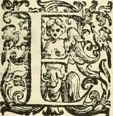 An illustration from L'idea della architettura vniversale, 1615, leaf 428