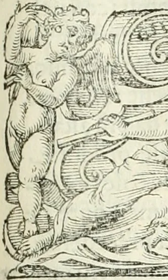 An illustration from L'idea della architettura vniversale, 1615, leaf 430