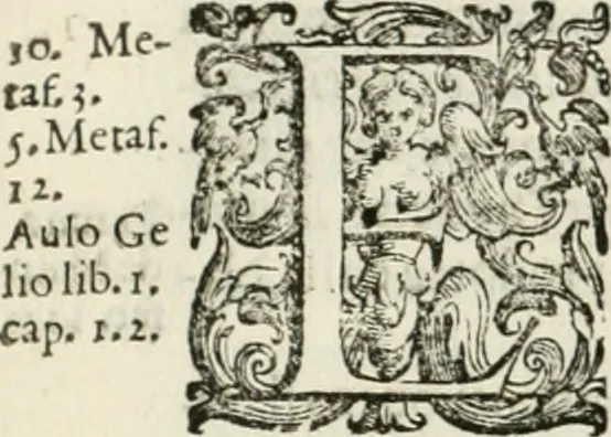 An illustration from L'idea della architettura vniversale, 1615, leaf 433