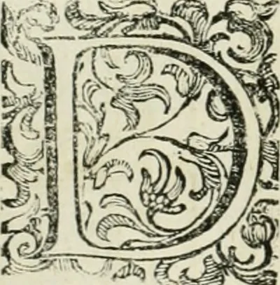 An illustration from L'idea della architettura vniversale, 1615, leaf 437