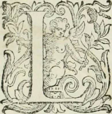An illustration from L'idea della architettura vniversale, 1615, leaf 465