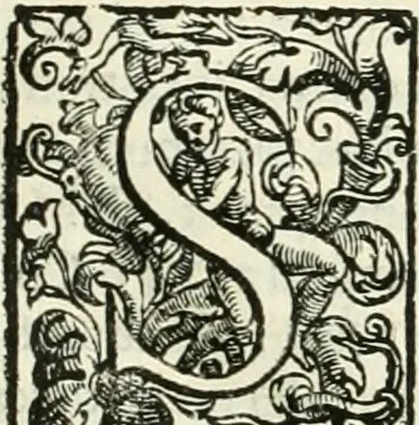 An illustration from L'idea della architettura vniversale, 1615, leaf 48