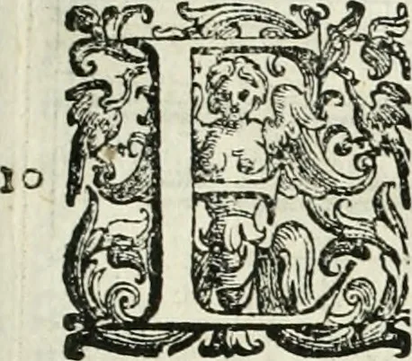 An illustration from L'idea della architettura vniversale, 1615, leaf 494