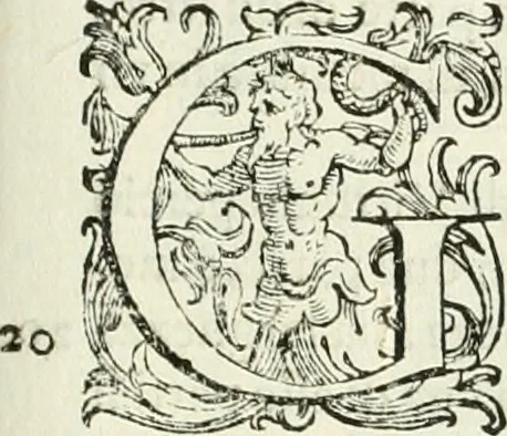 An illustration from L'idea della architettura vniversale, 1615, leaf 516