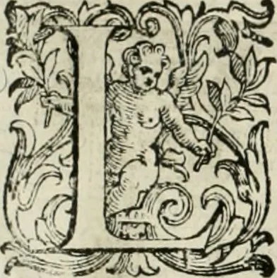 An illustration from L'idea della architettura vniversale, 1615, leaf 543