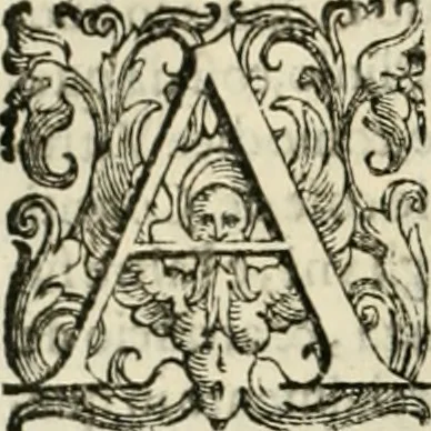 An illustration from L'idea della architettura vniversale, 1615, leaf 551