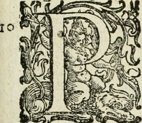 An illustration from L'idea della architettura vniversale, 1615, leaf 562