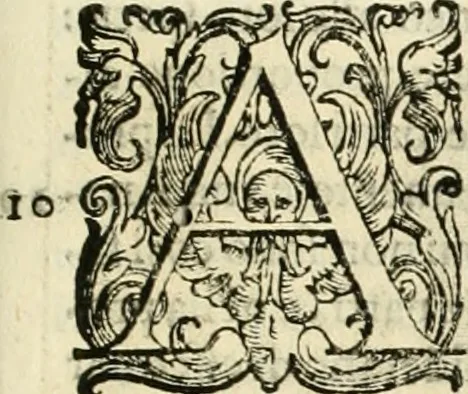 An illustration from L'idea della architettura vniversale, 1615, leaf 568