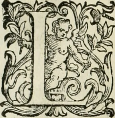 An illustration from L'idea della architettura vniversale, 1615, leaf 575