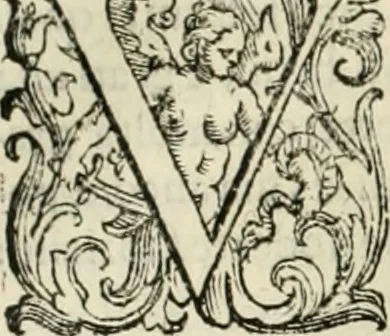 An illustration from L'idea della architettura vniversale, 1615, leaf 579