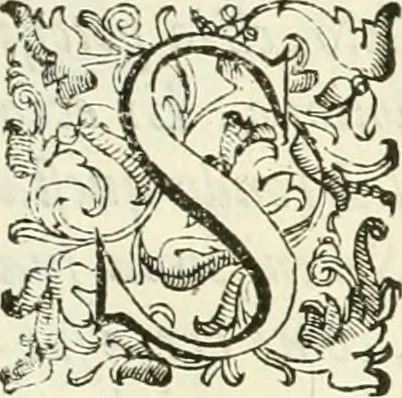 An illustration from L'idea della architettura vniversale, 1615, leaf 6