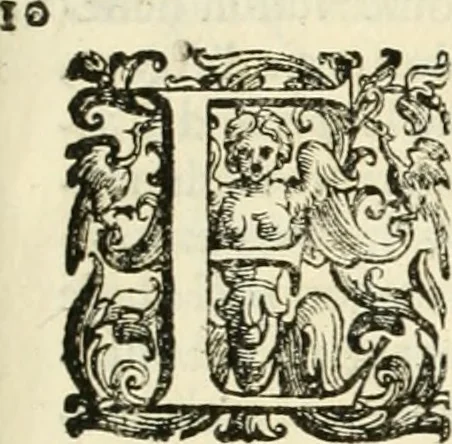 An illustration from L'idea della architettura vniversale, 1615, leaf 620